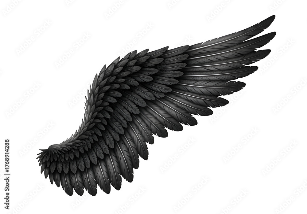 Naklejka premium A detailed close-up view of a dramatic dark gray wing, showcasing intricate feather details against a stark black backdrop.