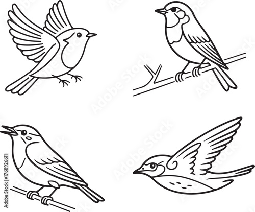 Small Song Bird Outline Drawing Vector Icon Set