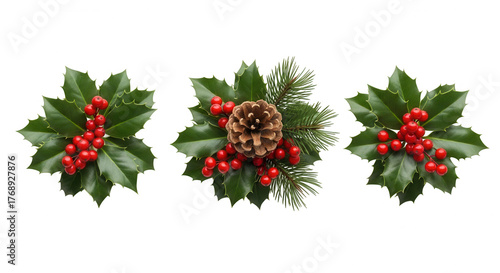Festive christmas holly berry and pine cone arrangement isolated on transparent background