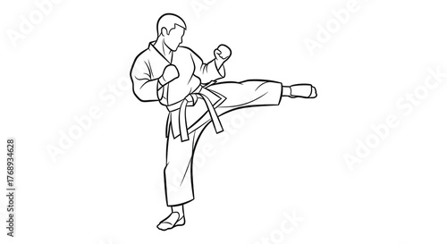 Martial arts practitioner performing a dynamic side kick in a striking silhouette pose silhouette