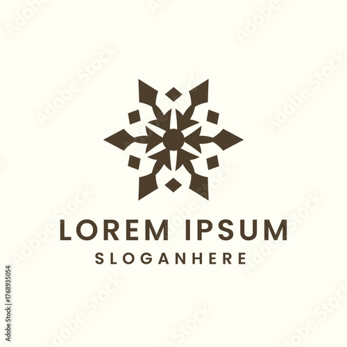 Abstract geometric snowflake logo design with elegant typography for branding