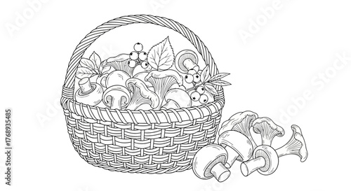 A detailed sketch of a woven basket filled with various mushrooms and berries