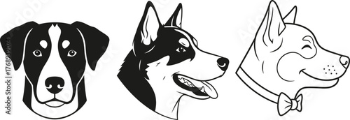 Three diverse dog heads in stylized illustration, showcasing different breeds and expressions