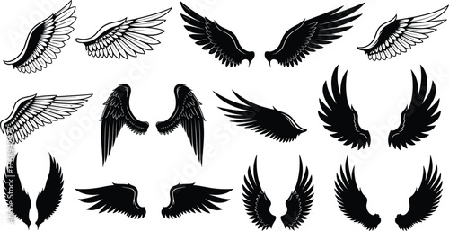 Wings illustrations, feather designs, angel wings, bird silhouette, tattoo art, fantasy element, decorative icon, cad drawing flat vector illustration