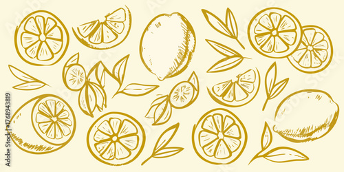 Hand drawn sketchy lemon slices and whole lemons with leaves on a pale yellow background
