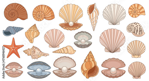 Colorful collection of diverse seashells and a starfish, showcasing spiral, bivalve, and pearl-bearing oysters on white.
