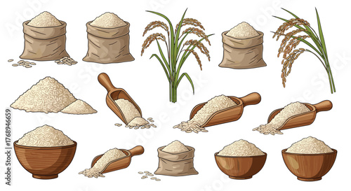 A collection of detailed vector illustrations showcasing rice grains in sacks, bowls, and scoops, accompanied by growing rice plants.