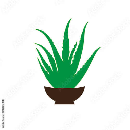 Potted Aloe Vera Plant Icon