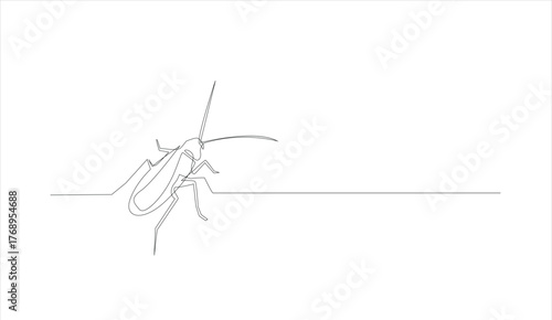 Cockroach Continuous Line Art, Isolated Vector Illustration.