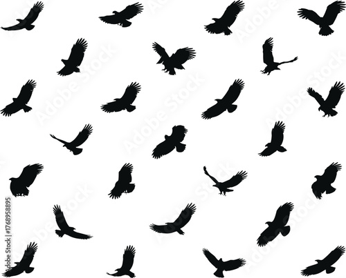 Bird flight silhouettes, soaring wings, dynamic motion, avian pattern, nature icon, wildlife movement, elegant pose, flat vector illustration