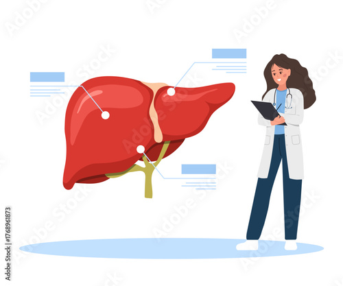 Female doctor diagnosing liver disease in cartoon style. Hepatologist examining internal organ for cancer, cirrhosis or hepatitis. Medical treatment and healthcare flat vector illustration.