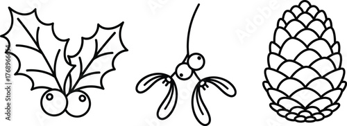 Holly, mistletoe, and pine cone for christmas decor