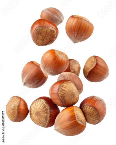 Wallpaper Mural Wholesome pile of falling raw brown hazelnut filbert nut food. An organic whole ingredient for healthy snack, isolated on background Torontodigital.ca