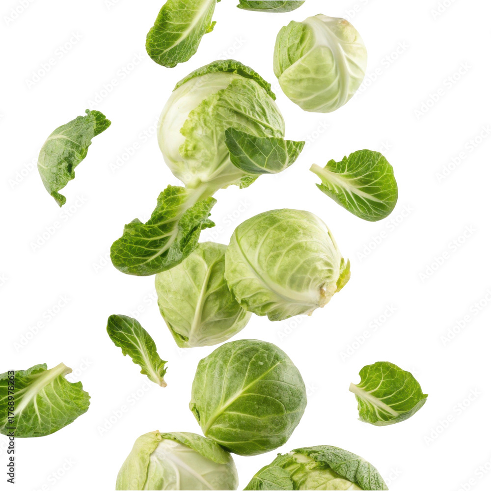 Obraz premium Fresh green brussels sprout vegetable falling mid air. Healthy food isolated transparency background for clean eating and organic diet