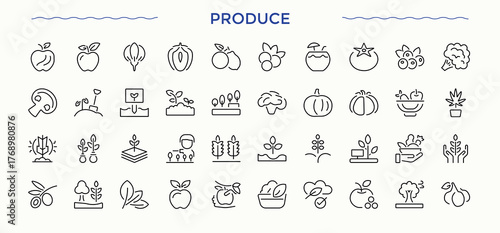 Produce line icon set. Related to art, vegetable, organic and more. Farm icon set. Minimalist linear icons. Pixel perfect. Vector illustration.