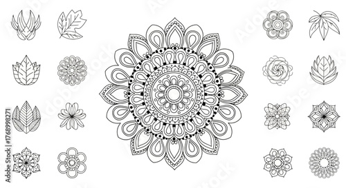 Intricate black and white floral mandala patterns and botanical illustrations