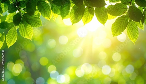 Nature-inspired background with blurred green leaves and sunlight filtering through.