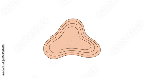Abstract peach form with layered outline, suggesting a topographic map or organic growth