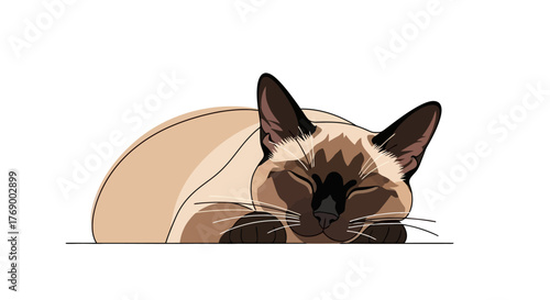 Charming vector illustration of a peacefully sleeping Siamese cat, rendered in a clean, minimalist cartoon style, resting contentedly on a pure white backdrop, evoking tranquility