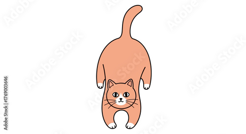 Stretching Ginger Cat Illustration with Upward Tail & White Paws on White Background