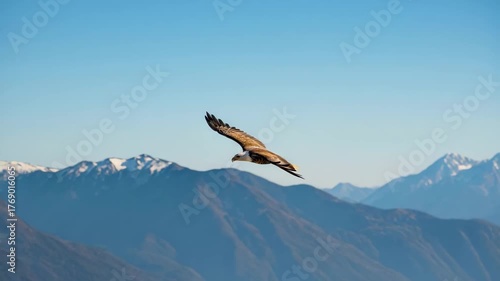 Eagle soaring high above the majestic snowcapped mountains on a clear day