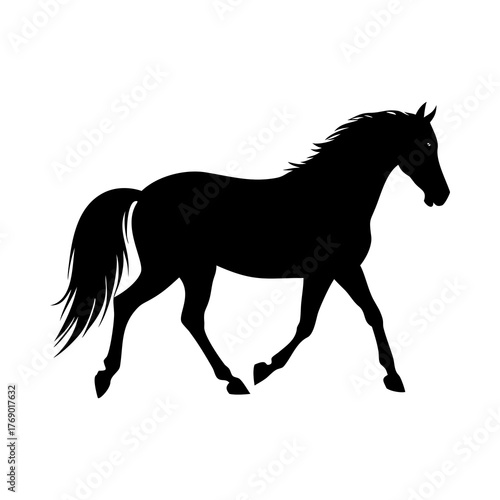Elegant horse equine mammal animal running stallion mare silhouette vector illustration