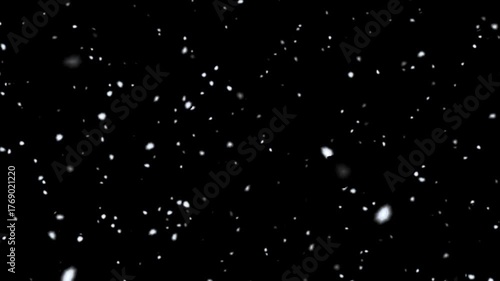 The Snow drop on black background  footage for Christmas or winter concept.