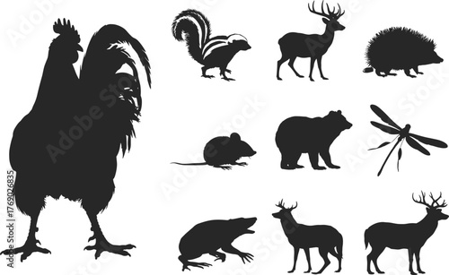 Animal silhouettes collection, rooster skunk deer hedgehog mouse bear frog dragonfly, wildlife vector illustration, black animal shapes, nature design elements