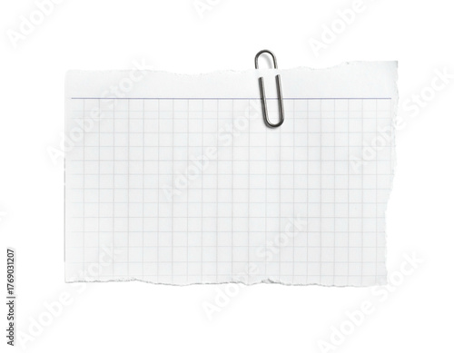 Paper Clip Isolated. Blank white torn edge paper mockup. Real notepad with grid line isolated.