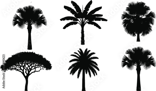 Tropical palm tree silhouettes collection for summer landscape design, beach illustration, travel poster, jungle nature art, and exotic decoration.