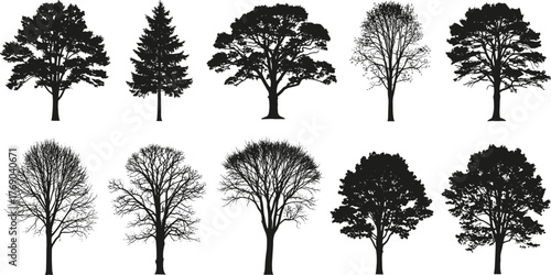 Diverse tree silhouette collection featuring coniferous and deciduous species for landscape design, forest illustrations, nature art, and seasonal projects.