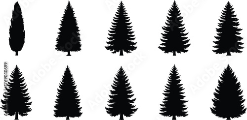 Collection of pine and fir tree silhouettes for winter forest design, Christmas illustration, nature background, outdoor, and landscape projects.
