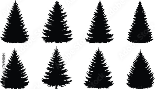Collection of evergreen pine trees silhouettes, winter forest design elements, black fir trees vector illustration for nature, Christmas, landscape, decoration, and art.