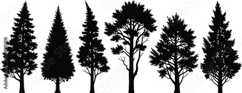 Silhouette of pine and conifer trees, vector illustration of evergreen forest landscape for winter, nature, mountain, and outdoor design art