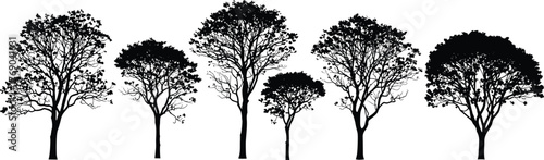 Silhouette of deciduous trees with dense branches and leaves, vector illustration of natural forest landscape for nature and park design