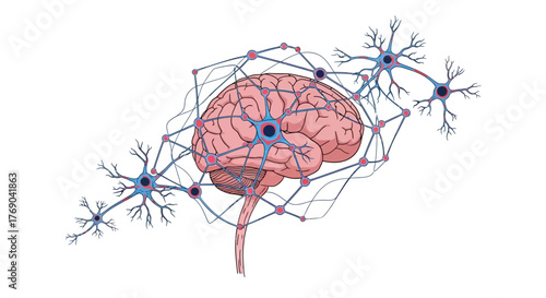 Brain  neurons depicted with intricate connections highlighting network activity