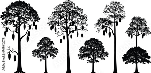 Silhouette of tropical forest trees with hanging fruits under clear sky, vector illustration of exotic jungle plants, nature background design