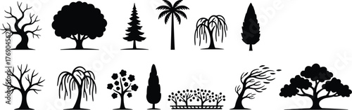 The Ultimate Guide to Tree Silhouettes