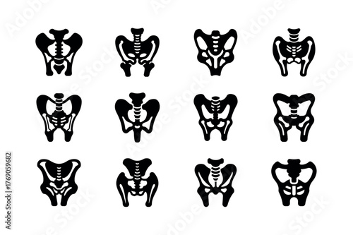 Pelvis Bone Icons Set — Human Anatomy and Orthopedic Symbols