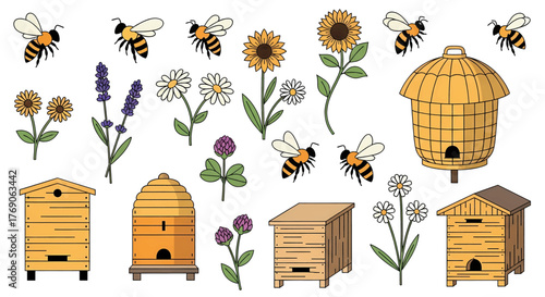 Charming Hand-Drawn Bees Beehives and Floral Elements Collection.