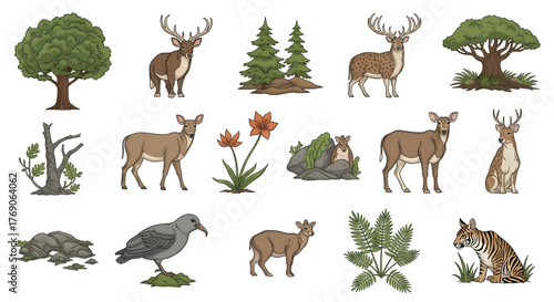 Diverse Collection of Forest Wildlife and Flora Elements.