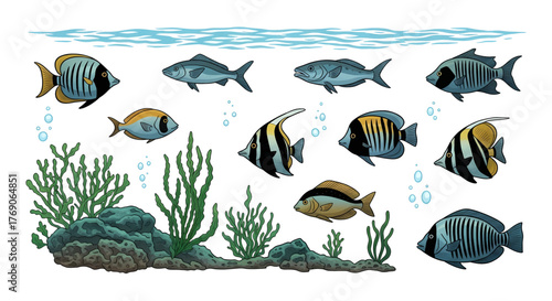 Vibrant Tropical Fish and Underwater Plants Illustration Set.