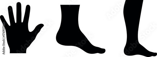  Silhouette icons of human body parts a hand, a foot, and a lower leg with foot, isolated on a