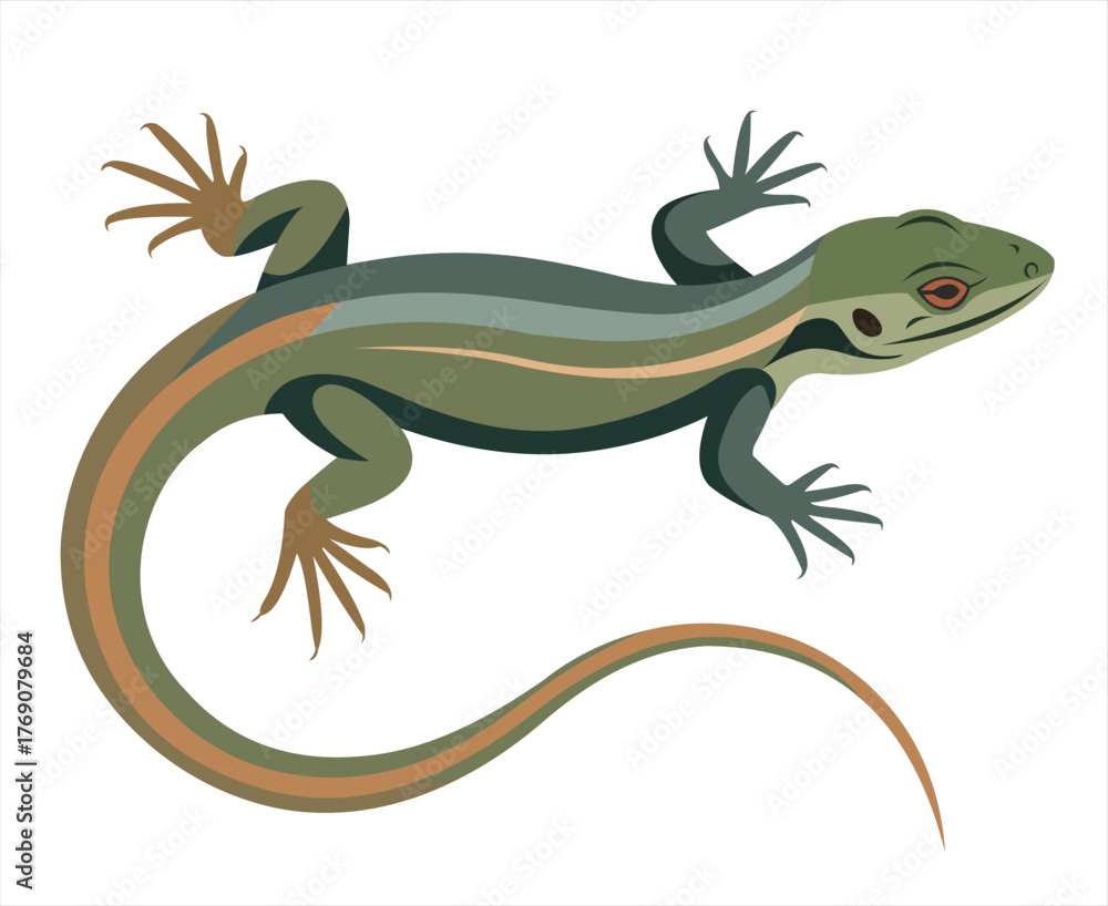 Fototapeta premium A colorful illustration of a sleek lizard with a curved posture