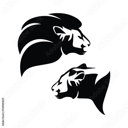 African lion and lioness silhouette