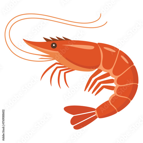 cooked shrimp on white background