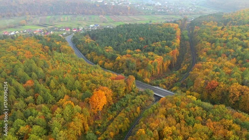 A drone flies over a colorful autumn forest through which a highway and a railway track pass. Cinematic footage from a bird's eye view.