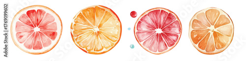 Watercolor juicy oranges sliced fruits hand drawn illustration set