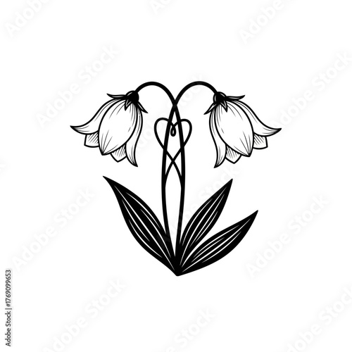 Elegant black and white illustration of two bellflower blossoms with stylized heartshaped stem