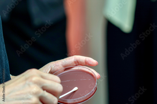 Bilde på lerret Sterile swab petri dish laboratory microbiology culture test medical healthcare